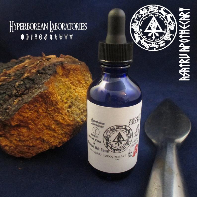 Wildcrated Siberian Chaga Triple Extract with Northern Black Currant Extract Spagyric Elixir (2oz.)