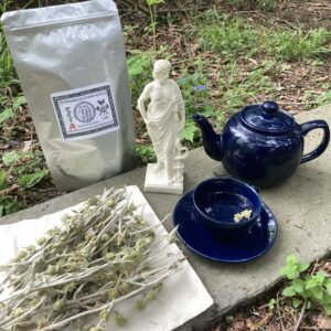 Wildcrafted Sacred Mountain Asklepian Tea (Sideritis scardica) 1oz.